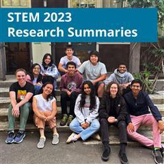 STEM Research Summaries