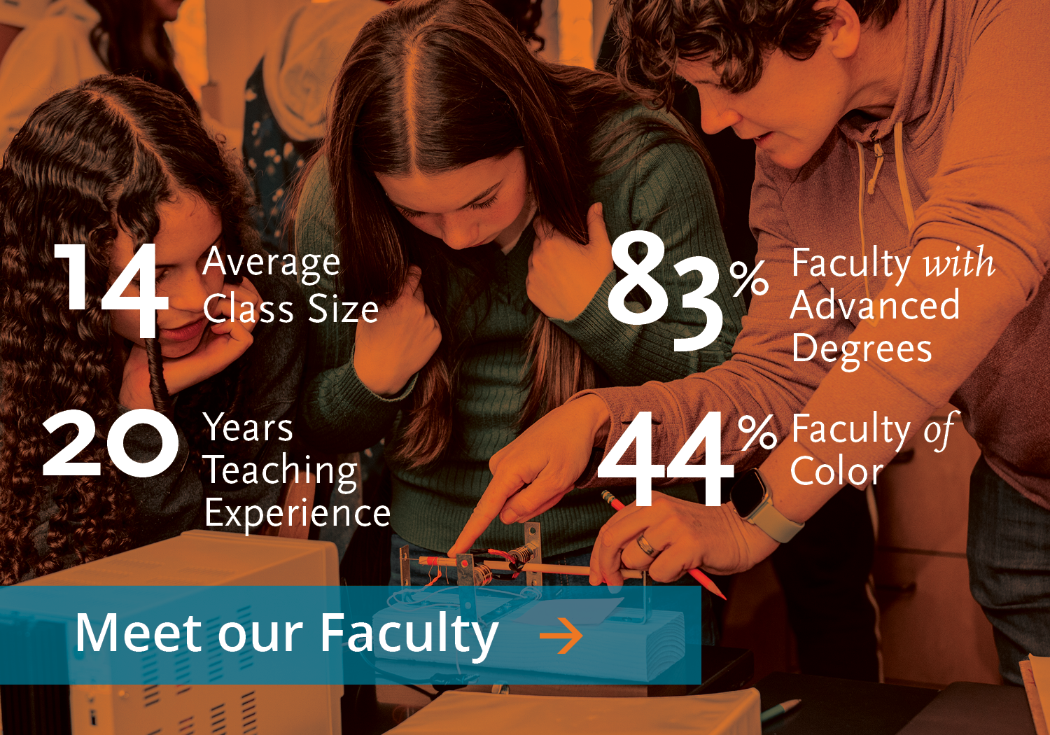 Meet our Faculty